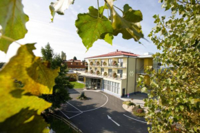 Гостиница Hotel Liebmann  Ласницхёэ